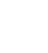 frispirit.cc